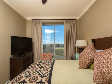 Kaanapali  Maui Condo 895767